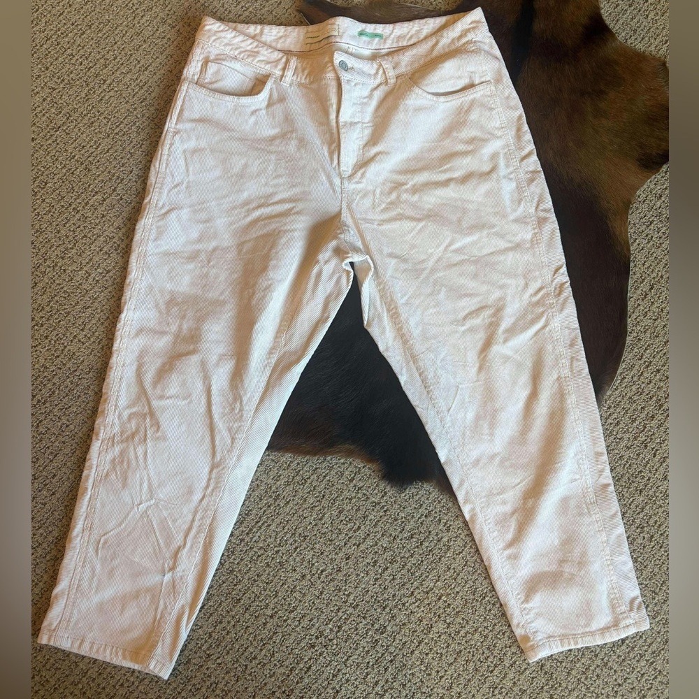 Anthropologie PlLCRO Corduroy Pant 18W Plus